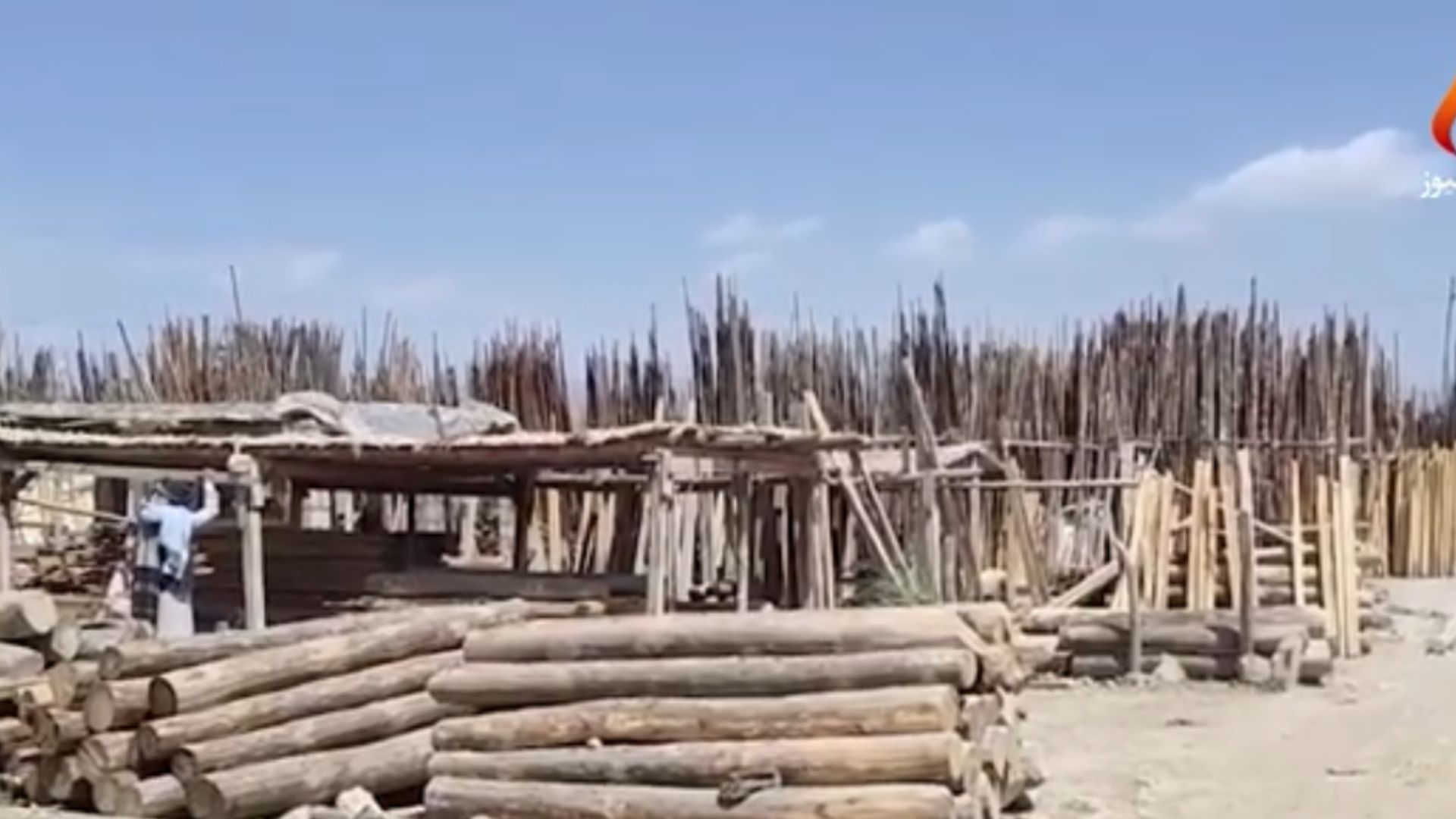 په سویلي وزیرستان کې د ونو کټایي د چاپېریال لپاره یوه جدي ستونزه ګرځېدلې ده