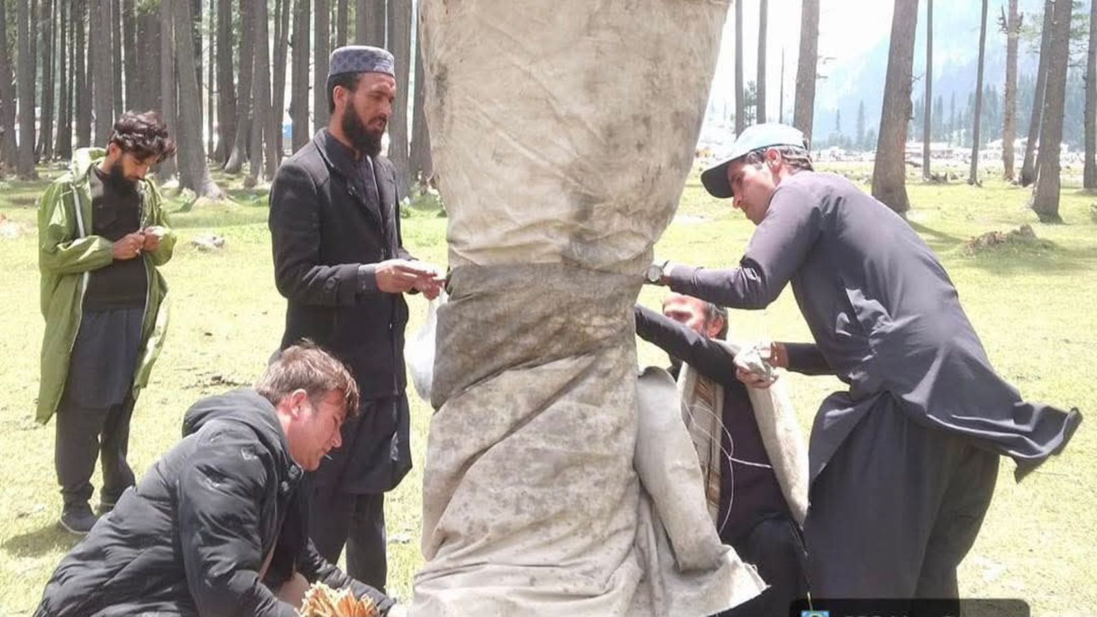 سوات : د کالام د مهوډنډ په سیمه کې د ونو د ساتنې لپاره بېړني ګامونه پورته شول