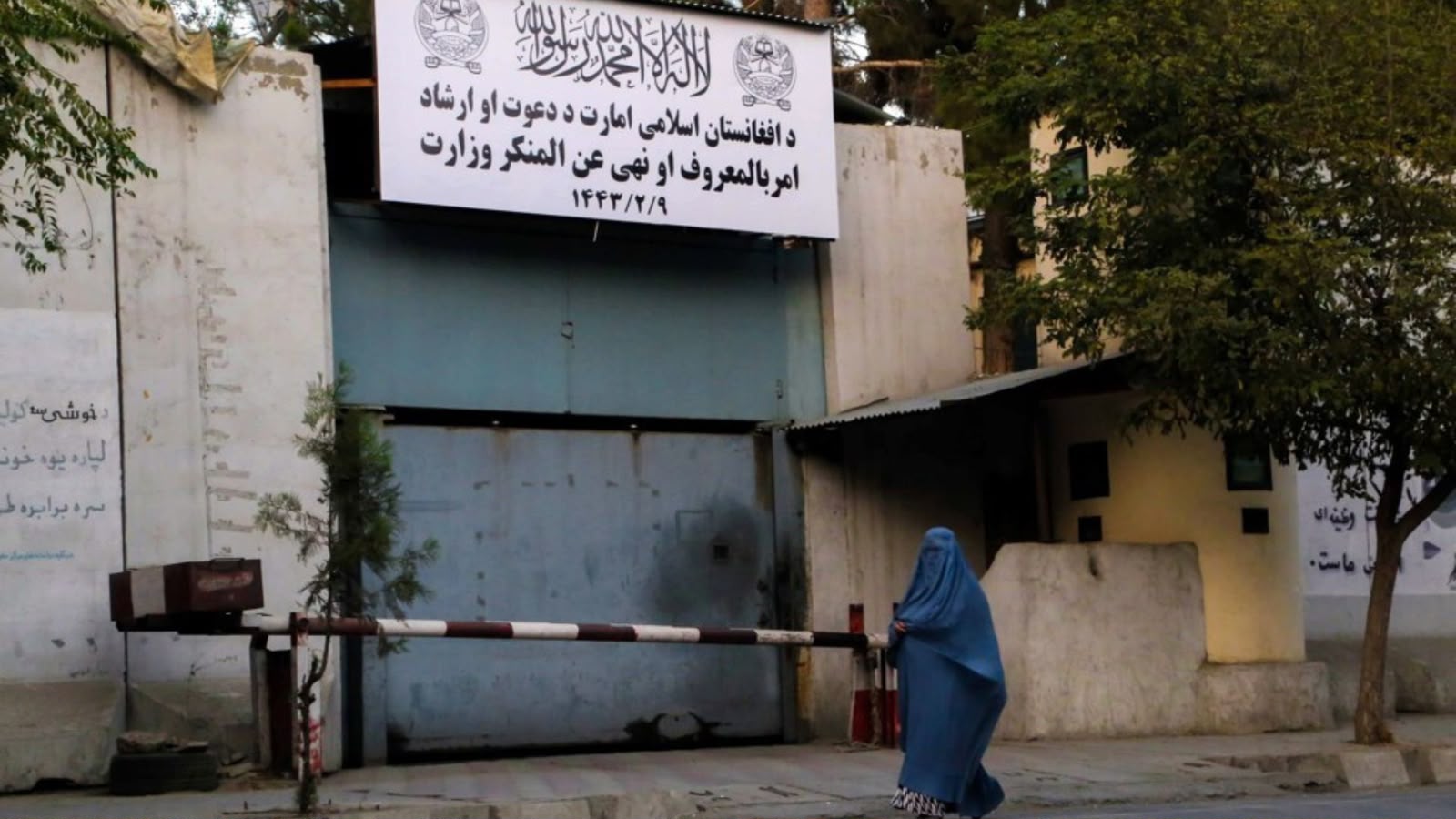طالبان دعوه کوي چې په بېلابېلو ولایتونو کې یې ۵ ښځې له جبري ودونو ژغورلې دي