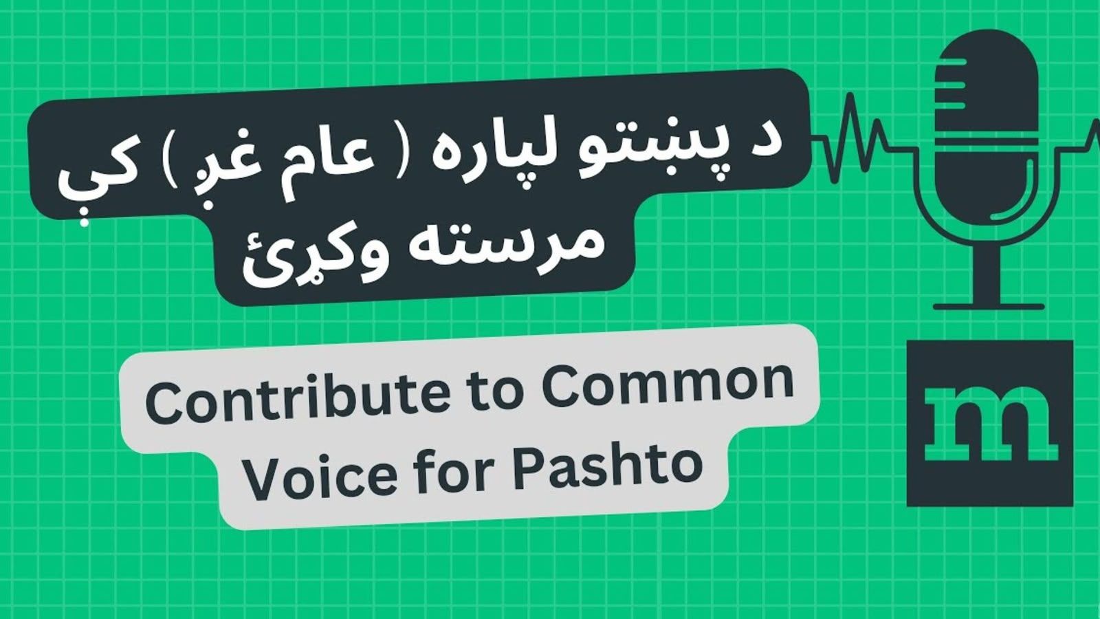 د پښتو ژبې لپاره ازاد غږیز معلوماتي بانک جوړېږي؛ څېړونکي له پښتنو افغانانو نه د ګډون غوښتنه کوي