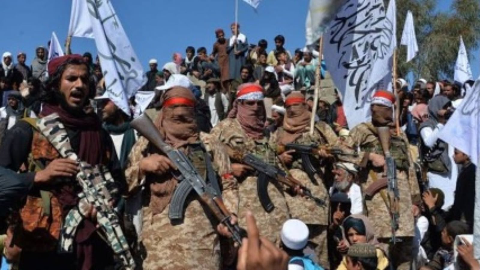 د افغان طالبانو استخباراتو له ټي ټي پي څخه په قبایلي سیمو کې د جماعت الاحرار د مرکزونو د تړلو غوښتنه کړې