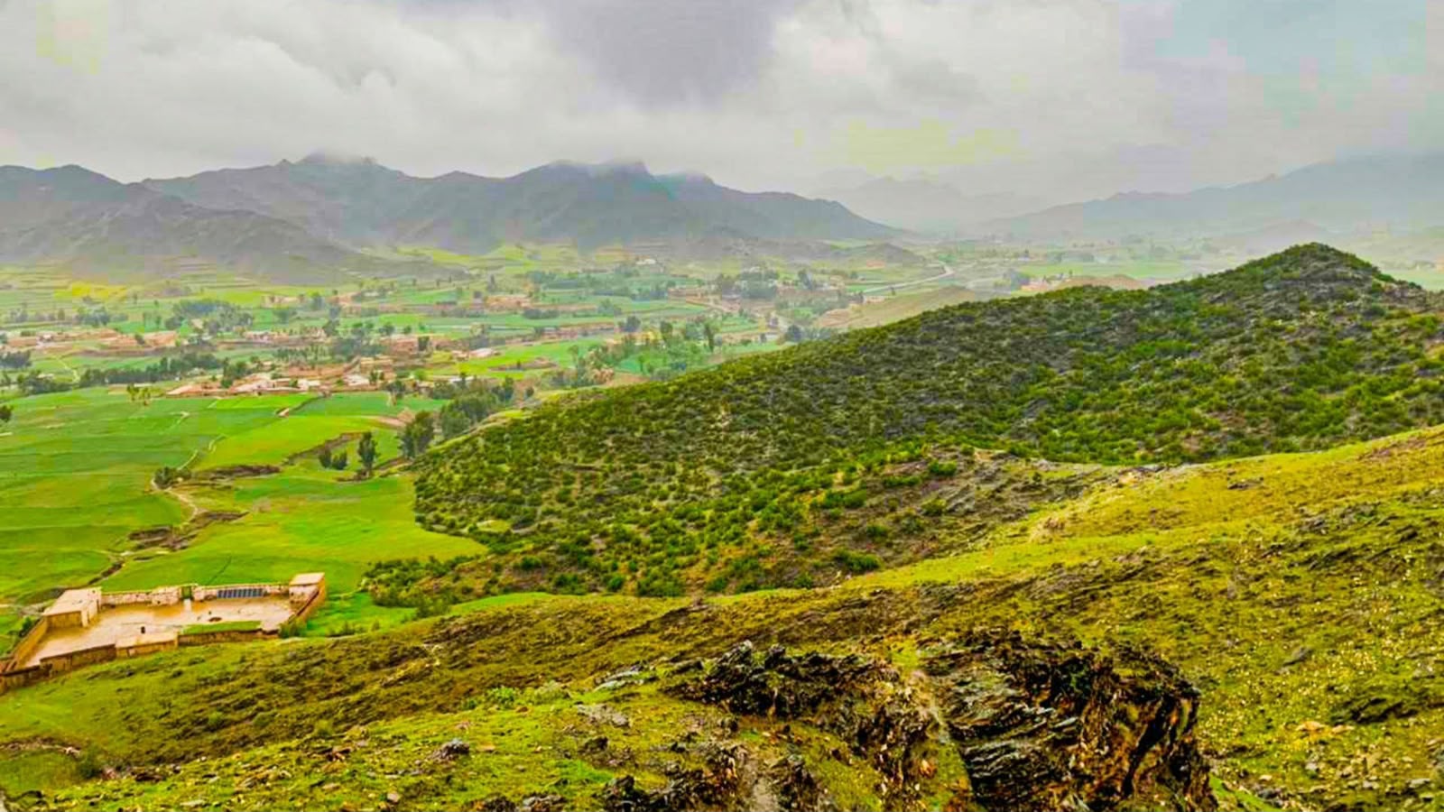 د پشکال موسم؛ په خیبر پښتونخوا، پخوانیو قبایلي سیمو او افغانستان کې د ونو کېنولو غوره وخت