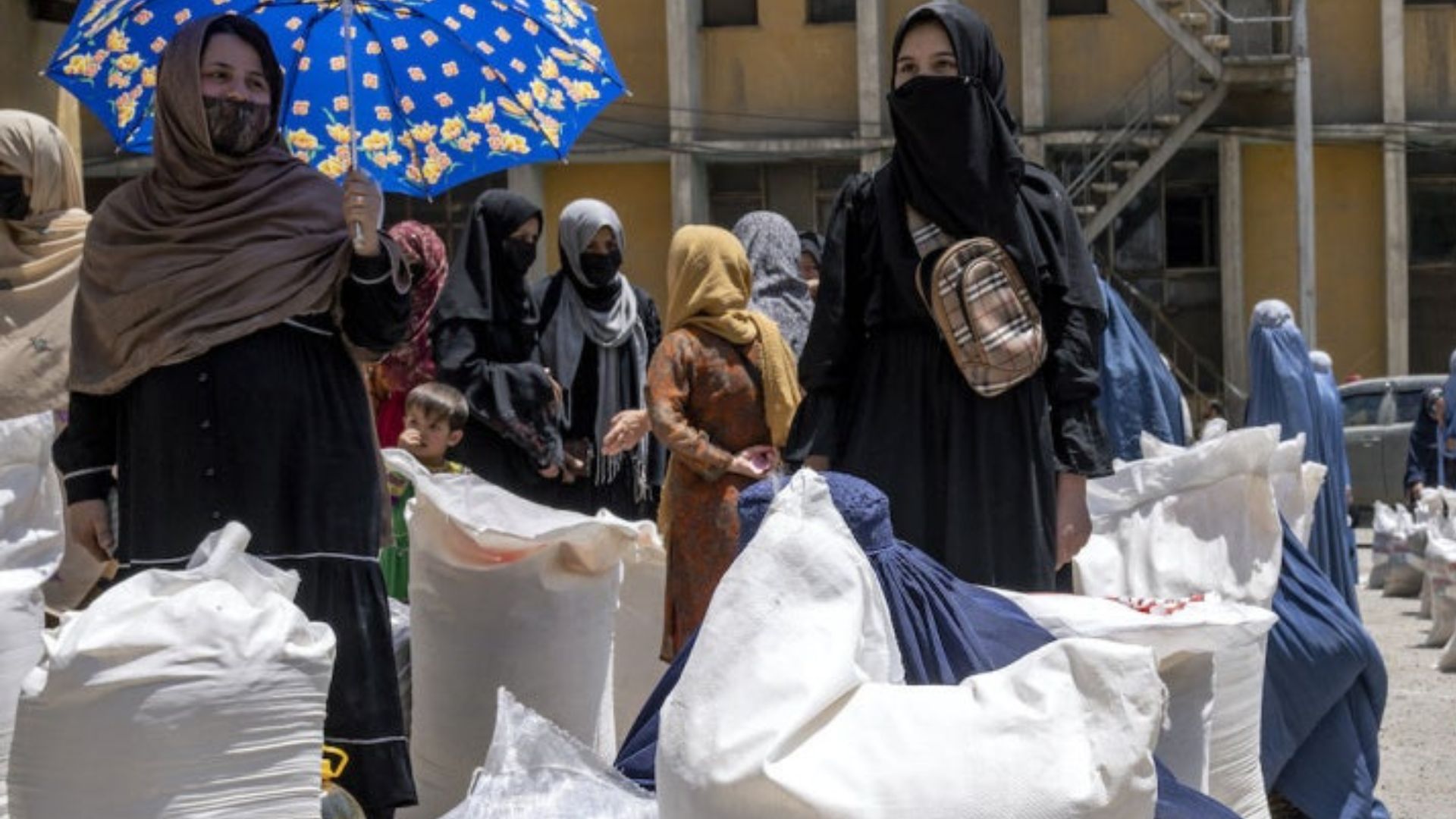 ملګري ملتونه : په افغانستان کې ۲۹ میلیونه کسان د خپلو لومړنیو اړتیاوو د پوره کولو وس نه‌ لري