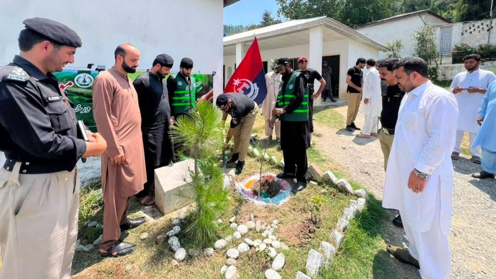 خیبر پښتونخوا کې د خپلواکۍ په ورځ د ۱۴ لکو ونو کرلو کمپاین