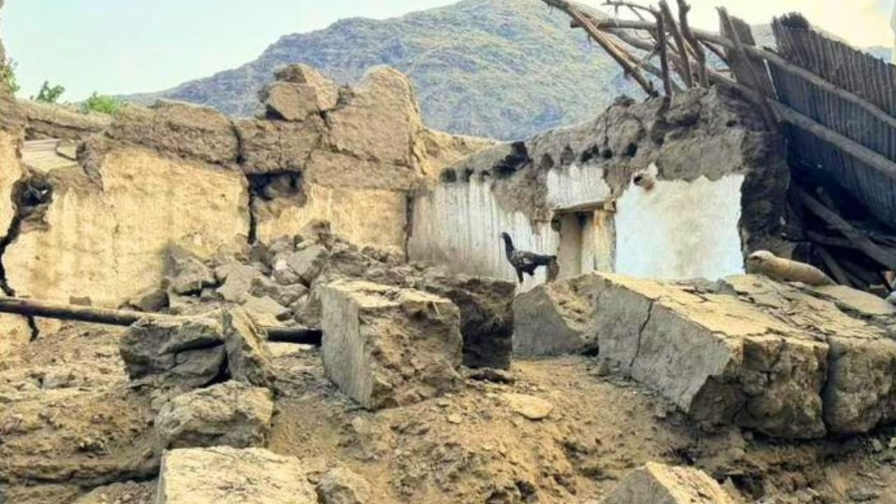 کوهاټ کې د ډینګي زیاتې پېښې؛ د افغان کډوالو نړول شوي کمپونه د ډینګي د خپرېدو خطر بلل شوي