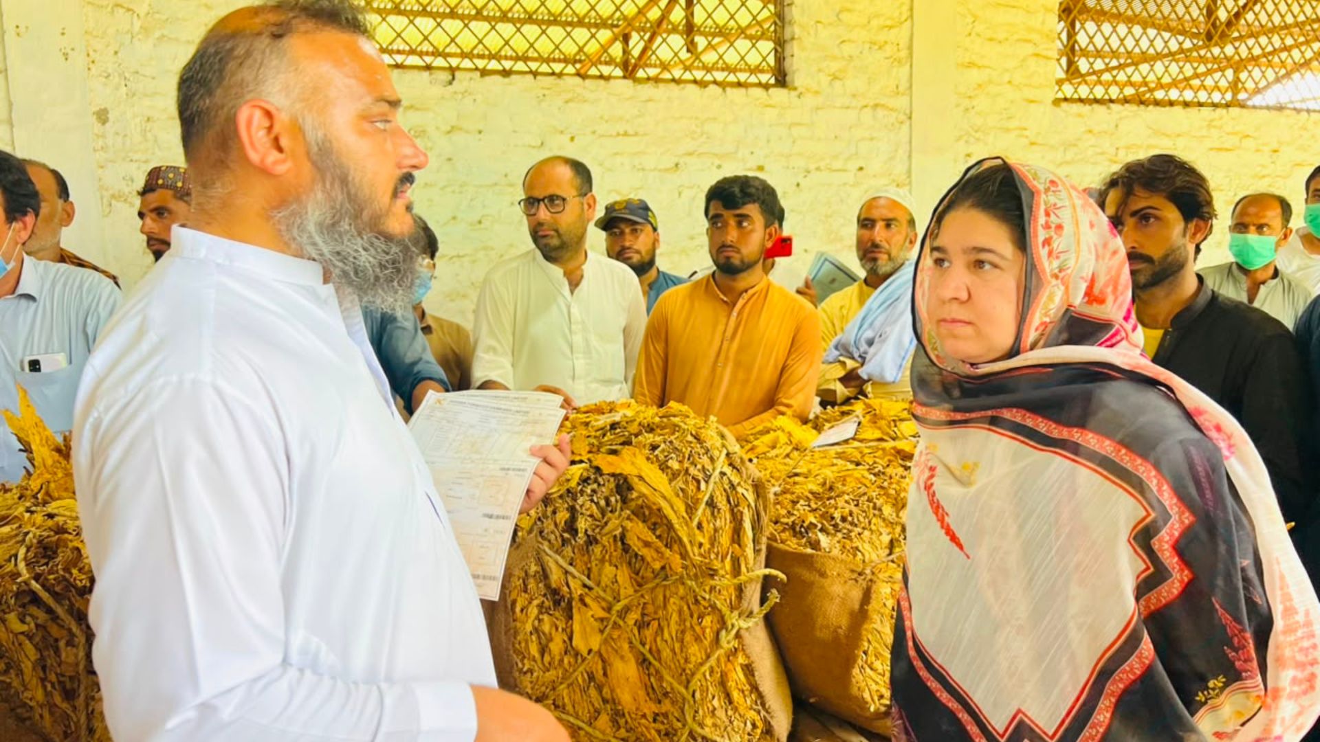 صوابۍ کې د تمباکو پر ناقانونه سوداګرۍ عملیات؛ یو ګودام مهر او د فالکن کمپنۍ ریکارډ ولکې ته واخیستل شو