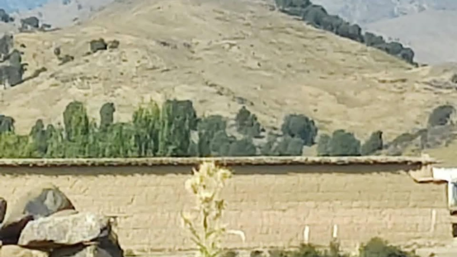 کوز سویلي وزیرستان : په شکۍ کې د دوو قامونو د ځمکې شخړه تونده شوې