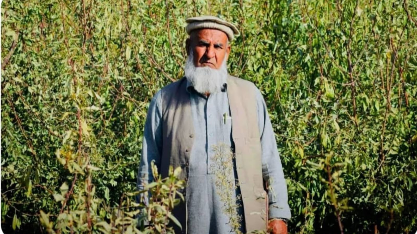 افغانستان : لوګر کې قامي مشر وژل شوی؛ درې مشکوک کسان نیول شوي