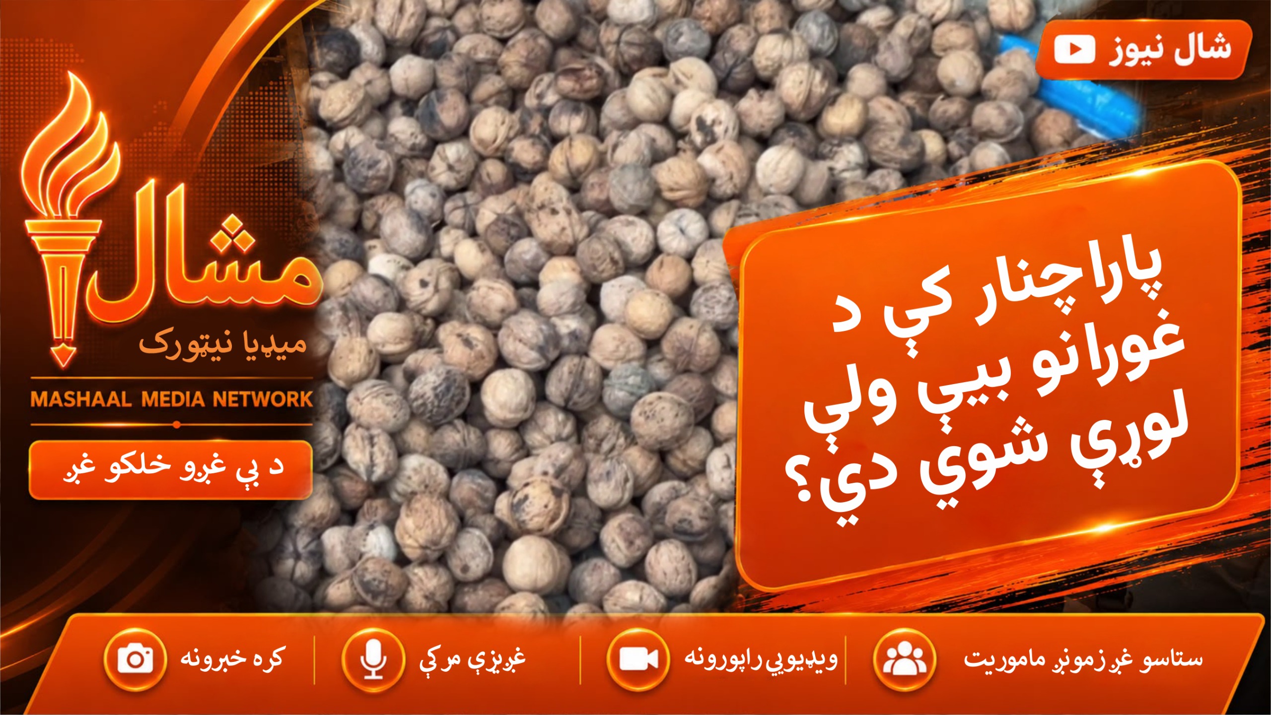  پاراچنار خوندور غوزان؛ د لږ پیداوار له امله یې بیې لوړې شوې دي